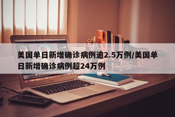 美国单日新增确诊病例逾2.5万例/美国单日新增确诊病例超24万例