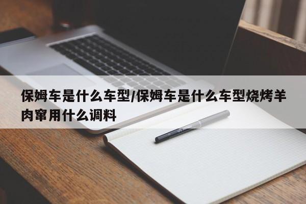 保姆车是什么车型/保姆车是什么车型烧烤羊肉窜用什么调料