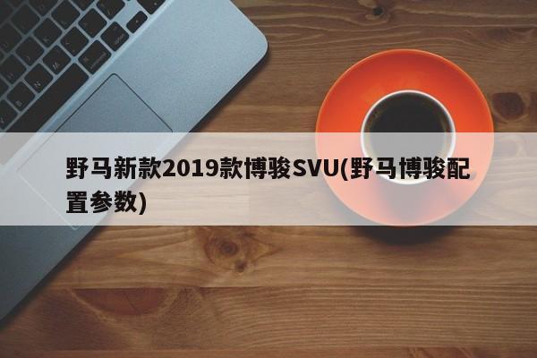 野马新款2019款博骏SVU(野马博骏配置参数)