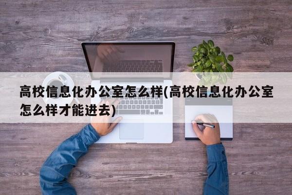 高校信息化办公室怎么样(高校信息化办公室怎么样才能进去)
