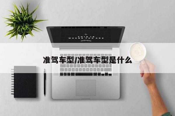 准驾车型/准驾车型是什么