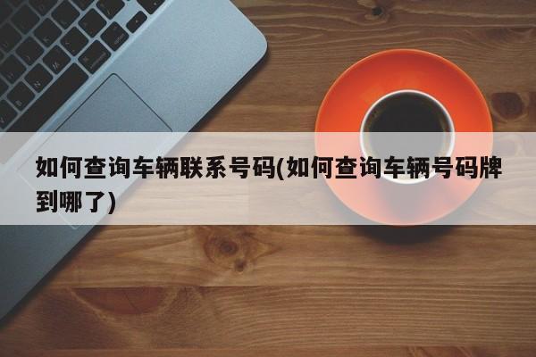 如何查询车辆联系号码(如何查询车辆号码牌到哪了)
