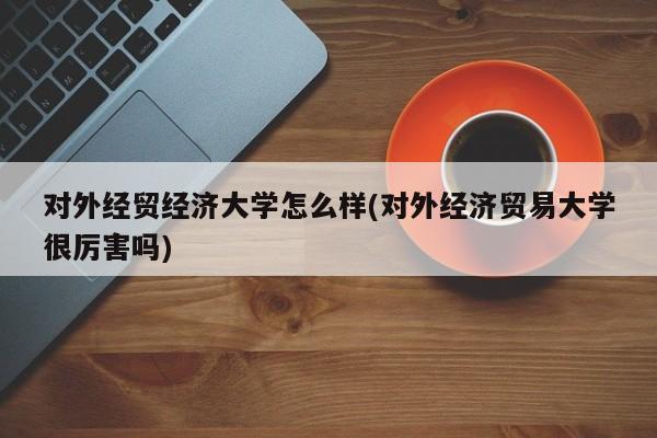 对外经贸经济大学怎么样(对外经济贸易大学很厉害吗)