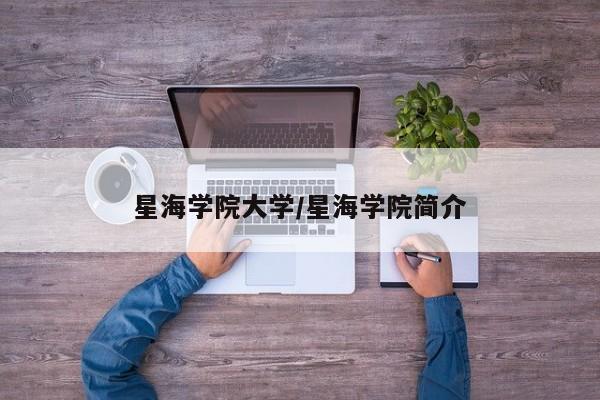 星海学院大学/星海学院简介