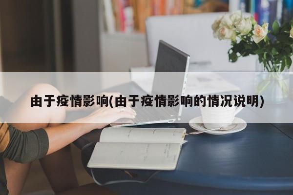 由于疫情影响(由于疫情影响的情况说明)