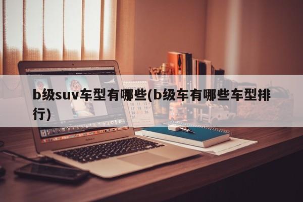 b级suv车型有哪些(b级车有哪些车型排行)
