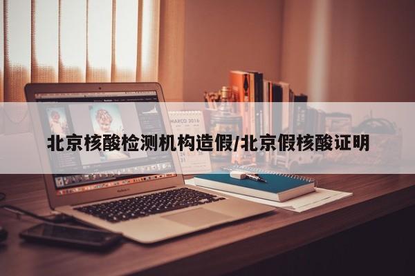 北京核酸检测机构造假/北京假核酸证明