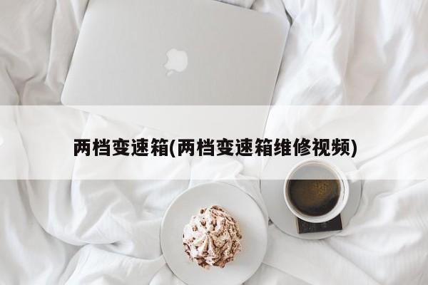 两档变速箱(两档变速箱维修视频)