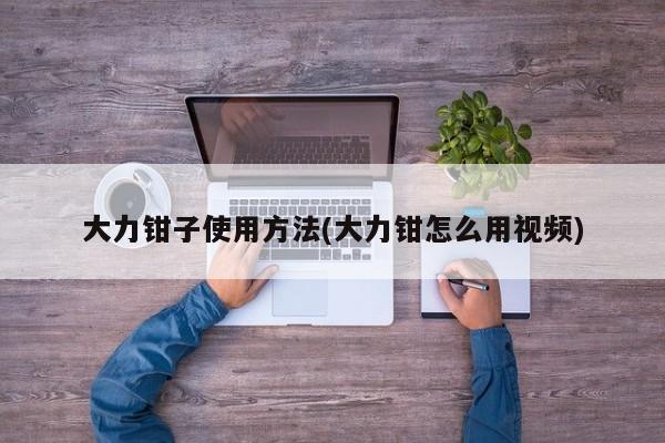 大力钳子使用方法(大力钳怎么用视频)