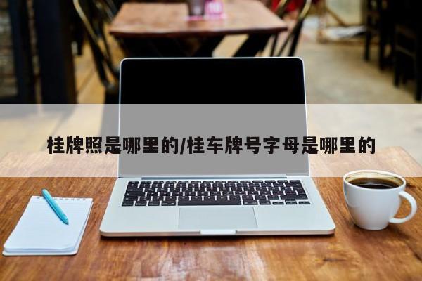 桂牌照是哪里的/桂车牌号字母是哪里的