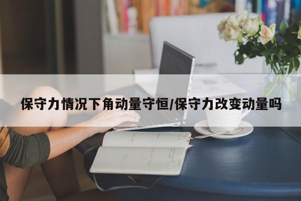 保守力情况下角动量守恒/保守力改变动量吗