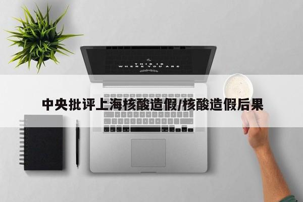 中央批评上海核酸造假/核酸造假后果