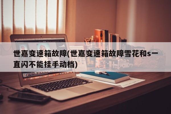 世嘉变速箱故障(世嘉变速箱故障雪花和s一直闪不能挂手动档)