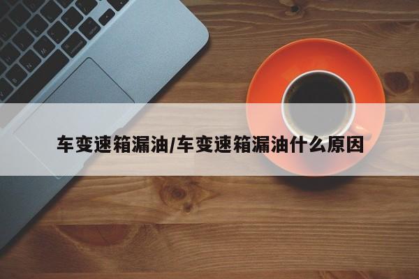 车变速箱漏油/车变速箱漏油什么原因