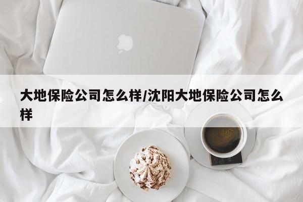 大地保险公司怎么样/沈阳大地保险公司怎么样