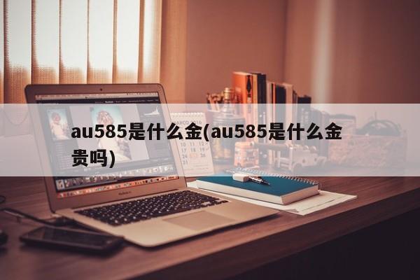 au585是什么金(au585是什么金 贵吗)