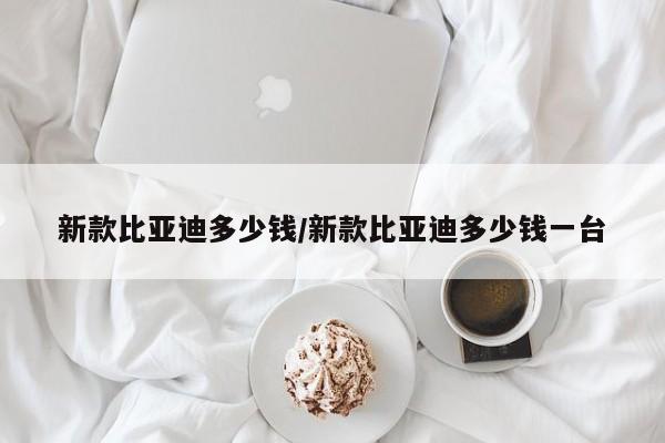 新款比亚迪多少钱/新款比亚迪多少钱一台