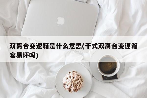 双离合变速箱是什么意思(干式双离合变速箱容易坏吗)